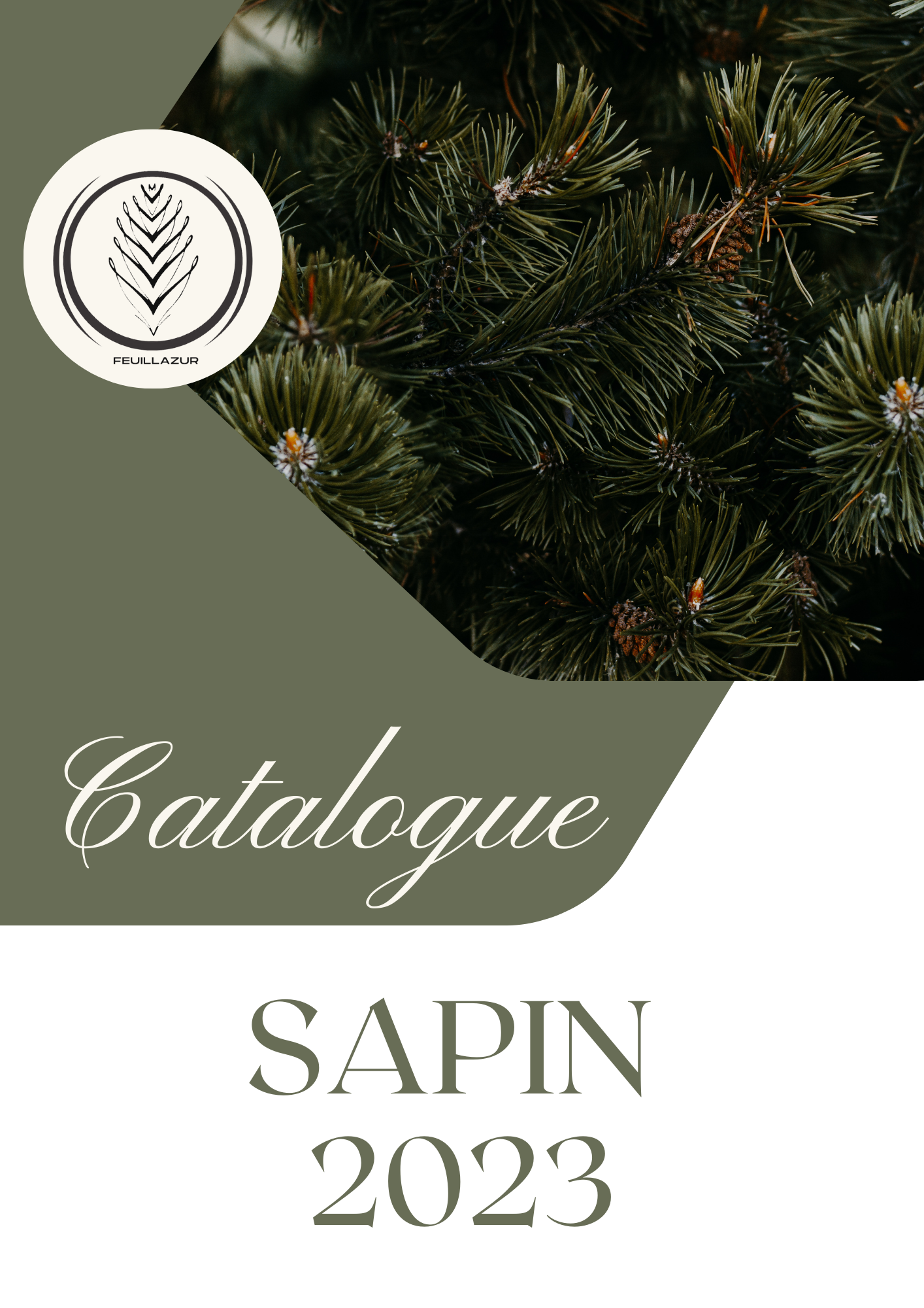 Catalogue Sapin